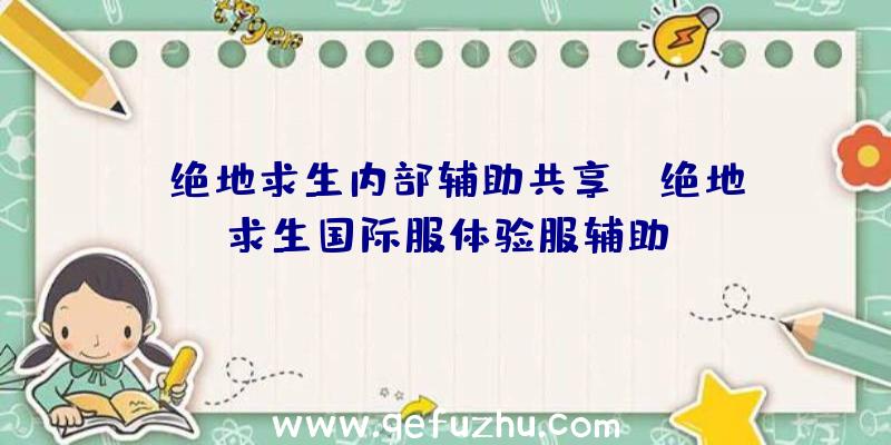 「绝地求生内部辅助共享」|绝地求生国际服体验服辅助